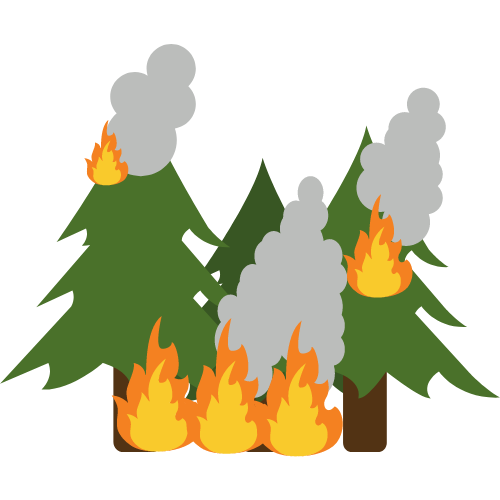 Día Mundial de la Prevención de Incendios Forestales