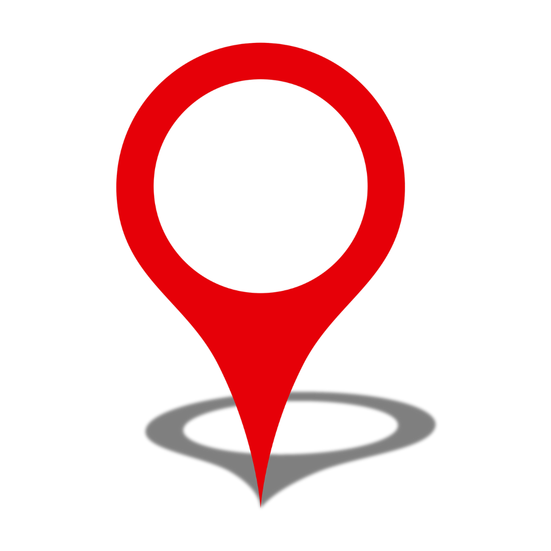 Pin perfil de empresa de Google