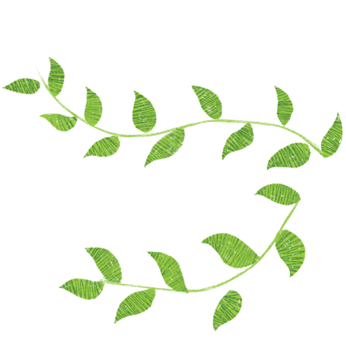 protección de la naturaleza