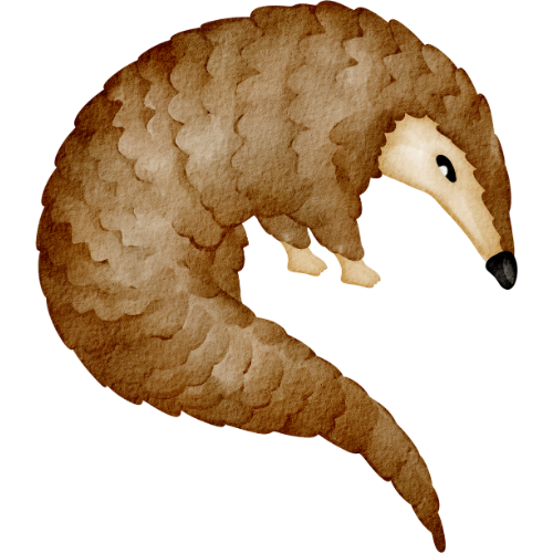 pangolin